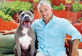 Dog whisperer with cesar millan. Cesar Millan Junior Celebrity Pet Worth