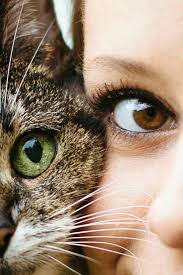 Pin By Sarisu Bey On Goz Cat Photography Creative Child Photography Portrait Photography