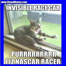 Check spelling or type a new query. I Can Has Cheezburger Cat Memes Funny Pictures Clean Version