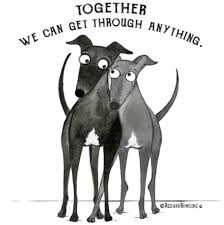 Our kind and caring staff works very hard to ensure that all our guests have an enjoyable stay. Hefner Road Pet Resort Home Facebook