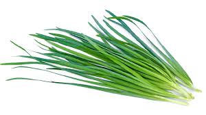 This vegetable belongs to the allium genus, which also includes onions and chives. The Difference Between Spring Onions Scallion Chives Leeks And Green Onions