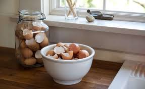 The simplest way to make your plant feed is to crush the shells into a fine powder and apply or mix them into soil. Gardening 101 How To Use Eggshells In The Garden Gardenista