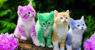 333 kata bijak cinta bahasa inggris terbaru dan artinya. Contoh Soal Kelas Vii Menyusun Teks Deskripsi Acak Pelajaran Bahasa Indonesia Di Jari Kamu