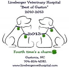 Pin By Lineberger Veterinary Hospital On Lvh Veterinary Hospital Veterinary Gaston