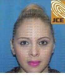 Quién es Iris Borges, jueza que conoce el complejo caso Operación Falcon?