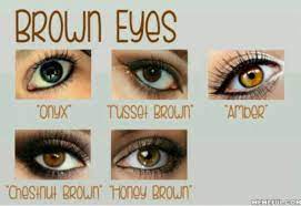 Brown Colored Eyes So My Eye Color Is Onyx But I Want Amber Eye Color Chart Eye Color Eyes