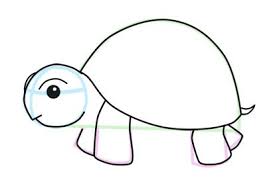 Turtle Turtle Drawing Easy Animal Drawings Animal Drawings