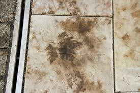 We did not find results for: Root Causes Of Green Deposits And Foliage Effects On Concrete Block Pavements Concrete Plant Precast Technology