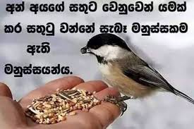 Sinhala adara wadan love talk sinhala.mp3. Do Something That Makes Others Happy Too Quotes About Life Happiness Helping Life Quotes Special Friend Quotes Friends Quotes
