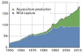 A decreasing shares outstanding over time may be the result of company buybacks. Part Ii And Iii 2 Partiiandiii Htm An