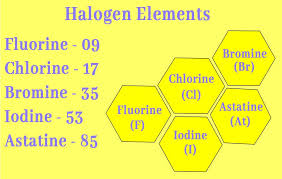Halogen Elements Why Halogen Are So Reactive Elemental Nature In 2020 Halogen Elements Thorium