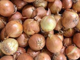 Plant spacing & depth — when growing onions, let the plant spacing be three inches. How To Grow Yellow Onions Growth And Care Guide Backyard Sidekick