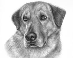 Check spelling or type a new query. Realistic Puppy Drawings Novocom Top