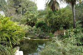 Villa Les Cedres Au Cap Ferrat Un Jardin Botanique Mythique La Terre Est Un Jardin En 2020 Jardin Botanique Petits Jardins Tropicaux Jardin Mexicain