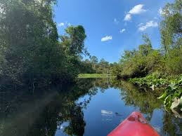 We were staying in the st pete area, at treasure island for a week & my wife smartly booked an excursion with this operator. Kayaking 10 Great Spots To Go Kayaking Near You In Tampa Bay More