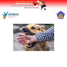 Para pegiat lingkungan kepayahan meyakinkan bahwa sekalipun kelelawar membawa banyak virus. Bahaya Penyakit Rabies Dinas Kesehatan Provinsi Bali