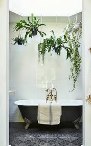 Gravity Home Bathroom Plants Decor Bathroom Plants Bathroom Inspiration Decor