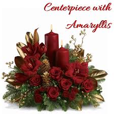 Get inspired with our handpicked collection of flower pictures hd to 4k quality available for commercial use download now for free! December Flower Spotlight The Amaryllis Enchanted Florist Pasadena