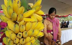 Memasuki 2021, harga buah pisang cavendish terbilang naik dibandingkan 2020 lalu. Adu Kemolekan Pisang Lokal Pisang Kepok Buleleng Jadi Unggulan