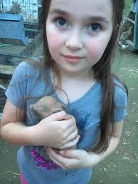 Yesterday Carrie one of the pigs at Nicks Farm. Thorpe had 6 piglets. How  gorgeous are these.