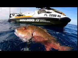 25 Miles Offshore Spearfishing With Sea Doo Fish Pro Big Fish Check More At Https Akvaryumbilgi Net 25 Miles Offshore Spearfishing With Sea Doo Fish Pro Bi
