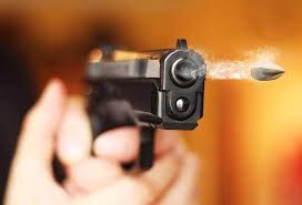 Farmer commits suicide by being shot | துப்பாக்கியால் சுட்டு விவசாயி தற்கொலை