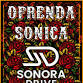  "OFRENDA SONICA"  event image