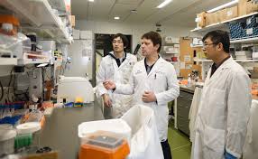 Welcome to the msu texas testing center! Coronavirus Testing Msu Researcher S Test Detects Covid 19 In Minutes