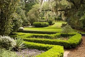 Bok Tower And Gardens