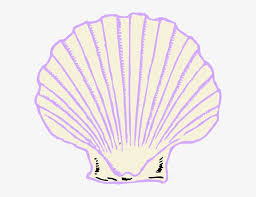 Did you scroll all this way to get facts about clam shell clipart? Shell Clip Art Png Image Transparent Png Free Download On Seekpng