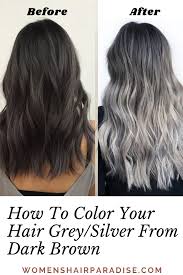 How To Color Your Hair Grey Silver The Right Way Women S Hair Paradise In 2020 Grey Hair Dye Hair Color Your Hair