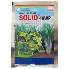 Solid 48WP