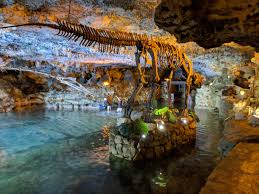 Live exciting adventures in the middle of riviera maya by air, land & underground rivers. Xplor Park Mexico 4032 X 3024 Oc Pics