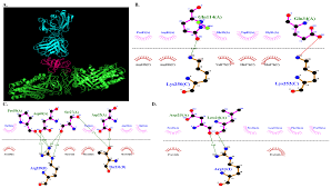 Pathogenic Mechanisms of Collagen TypeⅦA1 (COL7A1) and Transporter  Protein Transport and Golgi Organization 1 (TANGO1) in Rheumatoid  Arthritis: A New Therapeutic Target