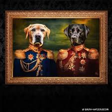 Maya henry who is an instagram sensation skyrocketed to fame in 2016. Hund In Kleidung Archive Ralph Hatzold