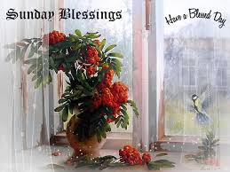 Qf4o5 Gif 750 563 Flower Art Flowers Gif Gifts