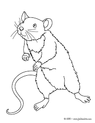 coloriage d une petite souris debout et realiste un sur le theme de la nature a imprime coloring pages animal new year support tache conseils crayons couleur moquette coloriages pointe