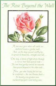 Beautiful Rose Poems Wall Poems Sympathy Roses