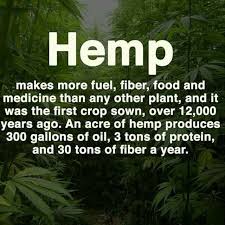 Why Aren T We Using Hemp Instead Of Extracting From Within Mother Earth Money Is The Root Of All Evil Hemp Oil Benefits Fun Facts