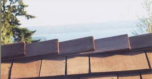 Pitt meadows and maple ridge have an excellent variety of recreation facilities between them. Pitt Meadows Green Roofs Pitt Meadows Commercial Roofing Roof Repair And Residential Roofing