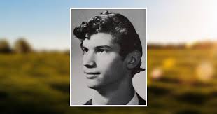 Stephen J. Meuse Obituary June 19, 2019