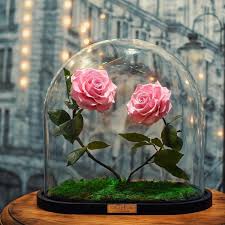 Clean linen, fresh meadow, lavender, lemon fresh, island blossom Spica On Twitter Beautiful Flowers How To Preserve Flowers Flower Aesthetic