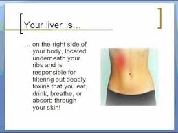 Pin On Health