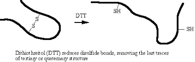Is electronegativity the factor that determines the strength of reducing agents and oxidizing agents? Preparing Protein Samples For Sds Page