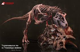 Dengue virus is transmitted by female mosquitoes mainly of the species aedes aegypti and, to a lesser extent, ae. Tyrannosaurus Rex