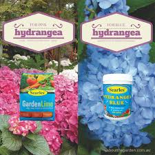 Lime is highly alkaline, which means it serves to raise the ph of your planting soil, causing pale blue hydrangeas to become a rosy pink in the process. How To Grow Hydrangea About The Garden Magazine