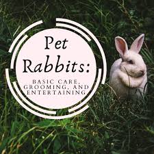 Set up safe indoor housing. Tips For Caring For Your Pet Rabbit Pethelpful By Fellow Animal Lovers And Experts