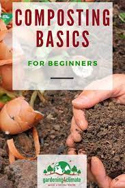 Composting Basics For Beginners Compost Backyard Vegetable Gardens Gardening Advice
