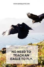 There was death in a quarter bag of peanuts, an aspirated piece of steak, the next pack of. 44 Bird Quotes Ideas Bird Quotes Quotes Parrot Quotes