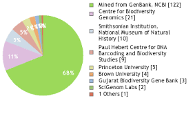 Image result for Ceropegia namuliensis